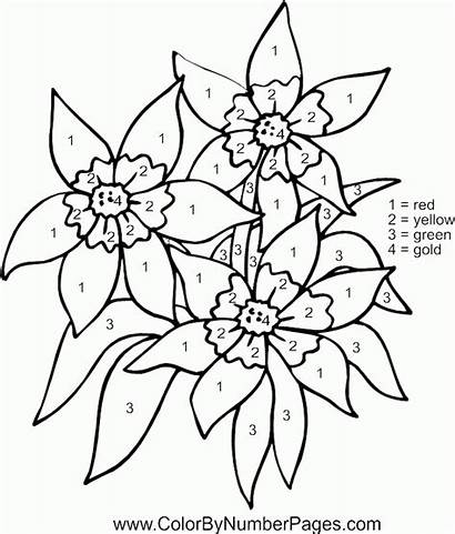 Coloring Number Flower Pages Printable Books Numbers