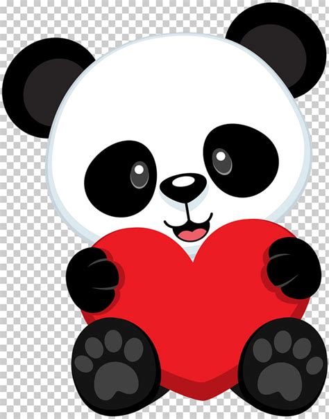 Oso Panda Gigante Dibujo Oso Png Clipart Pngocean
