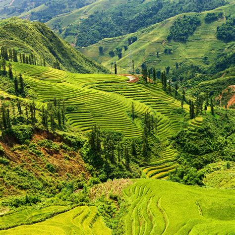 Location, size, and extent topography climate flora and fauna environment population migration ethnic groups languages religions. 10 Best Northwest Vietnam Tours & Vacation Packages 2021 ...