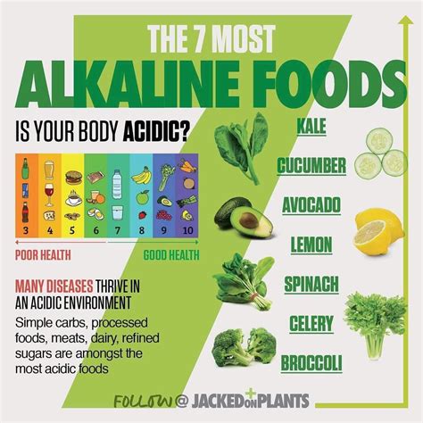 No Photo Description Available Alkaline Diet Alkaline Foods Alkaline Diet Benefits