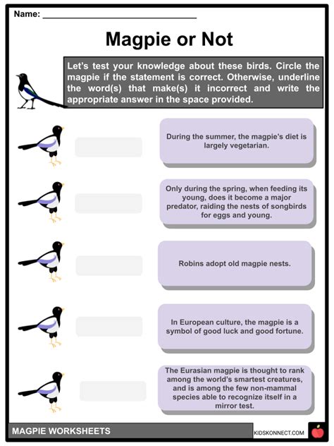 Magpie Diet Breeding Species Facts And Worksheets For Kids