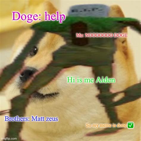 Doge Meme Ok Imgflip