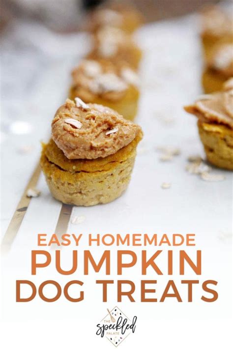 Peanut Butter Pumpkin Pupcake Recipe Homemade Dog Treats