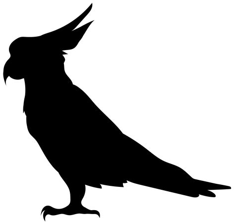 Bird Silhouette Illustration Parrot Silhouette Png Transparent Clip