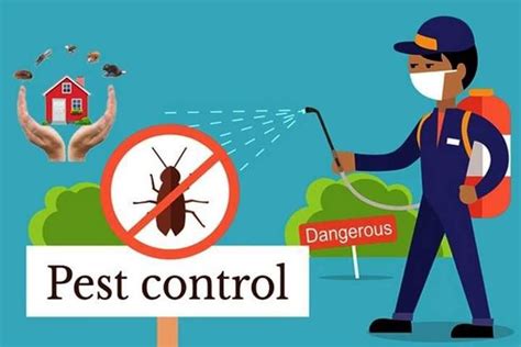 Expert recommended top 3 pest control services in pune, maharashtra. Perfect Pest Control Pune