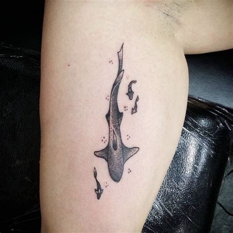 Pin By Heather Rose On Tattoos Shark Tattoos Beginner Tattoos Body
