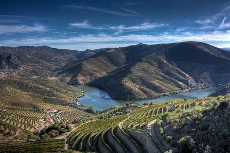 Forum Do Turismo No Vale Do Douro Reune Se Em Sabrosa Pportopt