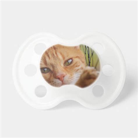 Cat Pacifier Zazzle