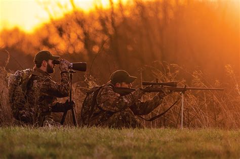 Shooting Industry Magazine Set Your Sights On Varmint Hunters
