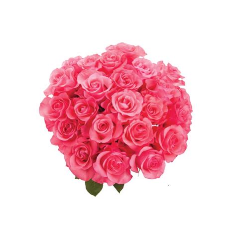 Pink Rose Bouquet Rose Bouquets Ts Flower Muse