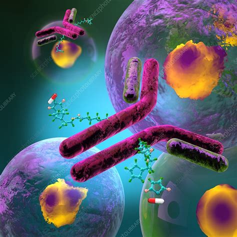 Antibody Drug Conjugates Illustration Stock Image C0490746
