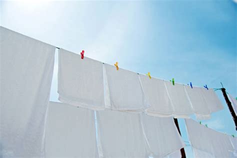 210 White Sheets Hanging On Clotheslines Stock Photos Pictures