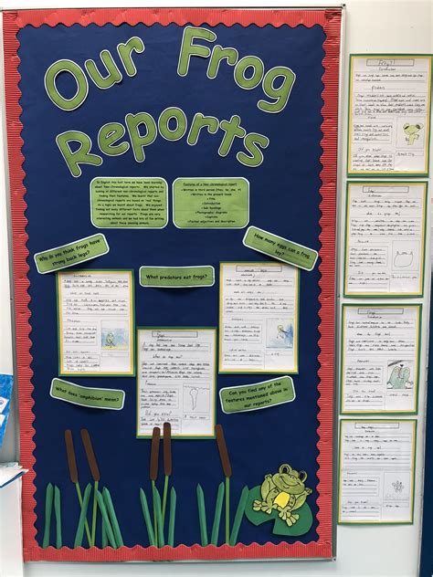 Frog Non Chronological Reports Display Year 1 Display Non