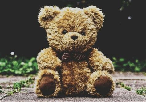 200 Names For A Teddy Bear The Best Stuffed Bear Names