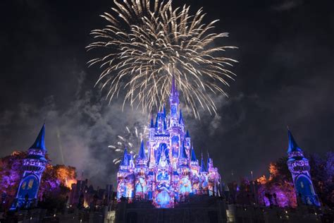 15 Unusual Things To Do At Disney World Top Villas
