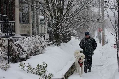 Philadelphia Winter Weather Forecast Impacted By Sudden Arctic Warming