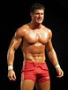 Wrestler Ryan Nemeth (Ryan Phillip Nemeth) – Wiki | WWE Wrestling Profiles