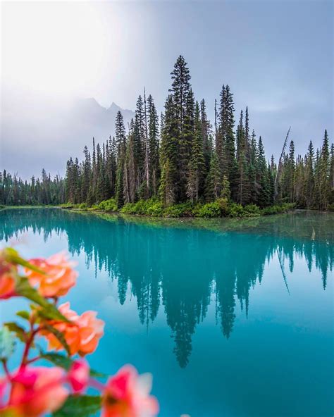 Emerald Lake Yoho National Park British Columbia Canada Mostbeautiful