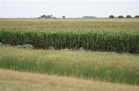 Crops 15 Ohio Ag Net Ohios Country Journal
