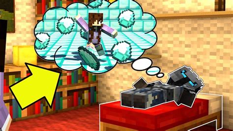 Malaysian ringgit (myr) is the official currency of malaysia. WE WON 2,000,000 DOLLARS In Minecraft! (ASLEEP MAP) - YouTube