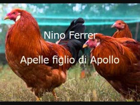 I polli in commercio sono femmine destinate alla produzione di carne, a seconda dell'età e del peso vengono chiamati Nino ferrer la palla di pelle di pollo.wmv - YouTube
