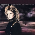 Bonnie Tyler - Secret Dreams And Forbidden Fire | Discogs
