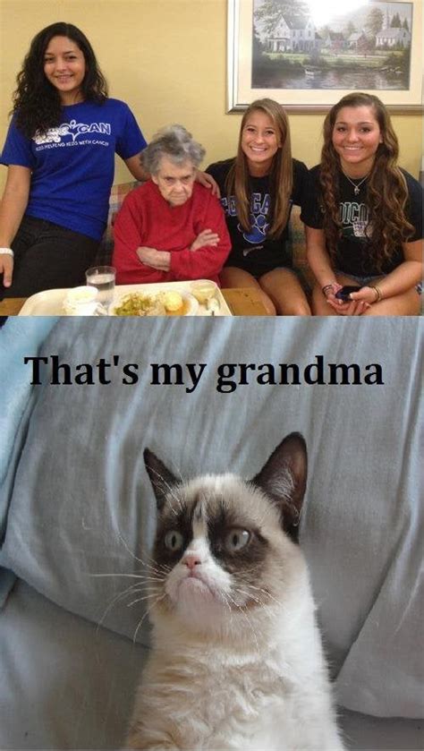 Grumpy Grandma Is Grumpy Rfunny