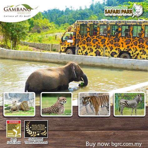 Experiencebukit gambang safari park.promoting your link also lets your audience know that you are featured on a rapidly growing travel site.in addition setup your trip planning widget for best results, use the customized trip planning widget for bukit gambang safari park on your website.it has all. Are you looking for a holiday to remember? 😃 Join us at # ...