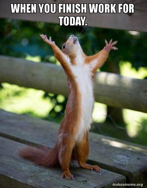 When You Finish Work For Today Happy Squirrel Meme Generator