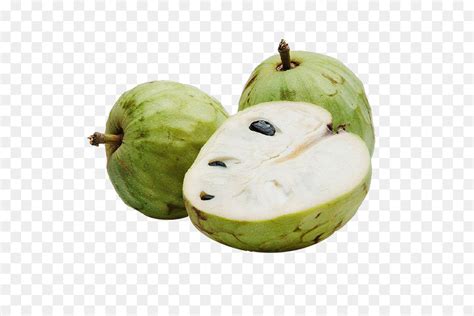 It gives 5 cherimoyas and 2 xp at harvest time. Library of chirimoya jpg library library png files Clipart ...