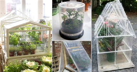 Diy Mini Greenhouse Ideas How To Make A Mini Greenhouse 50 Off
