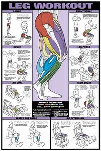 Buy Your Leg Workout Fitness Chart Co Ed At Bigfitness Com