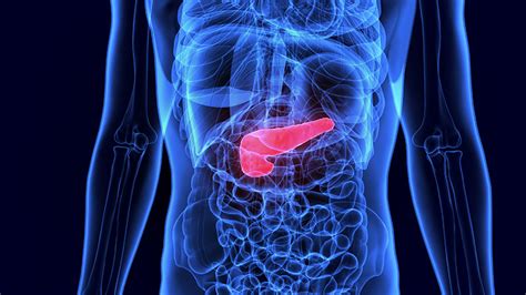Pancreatic cancer is a common and deadly disease; Genomics Could Better Match Treatments to Pancreatic ...