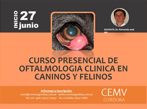 Curso Presencial De Oftalmología Clínica En Caninos Y Felinos Cemv