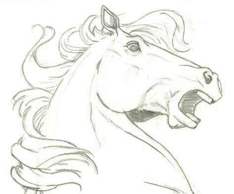 A Drawing Of A Horse With Its Mouth Open