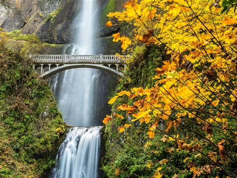 Nature Forest Bridge Autumn Amazing Beauty Waterfall Landscape