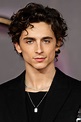 How Timothée Chalamet is reframing masculinity in cinema | Vogue France