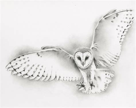 Original Pencil Flying Barn Owl Drawing Owl Art Barn Owl Sketch