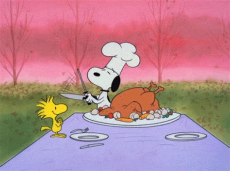 Charlie Brown Thanksgiving  Find And Share On Giphy