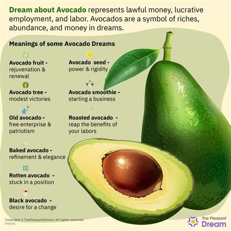 Dream About Avocado Interesting Scenarios And Interpretations