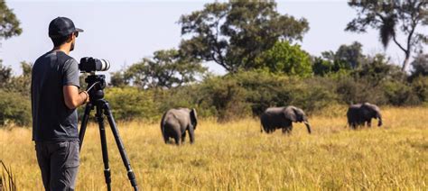 10 Best African Photographic Safaris 20222023 Tour Deals And Tips