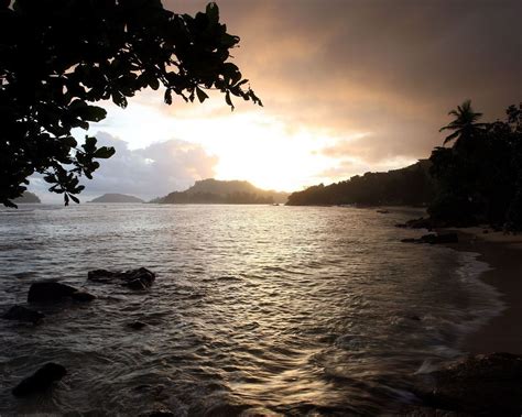 Wallpaper Sunlight Landscape Leaves Sunset Sea Lake