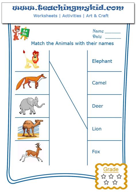 Kindergarten Learning Match The Wild Animals With Names 1