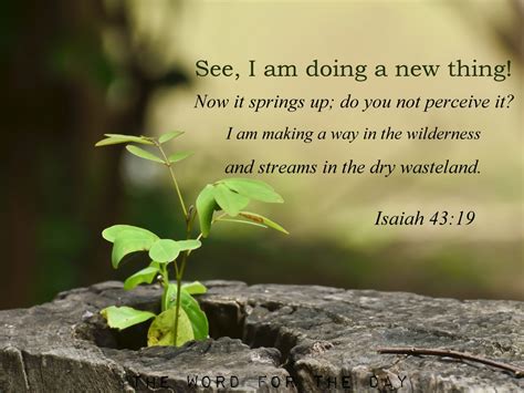 The Word For The Day See I Am Doing A New Thing Isaiah 4319 God