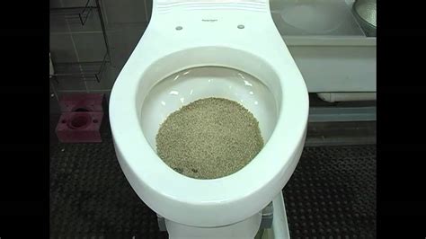 Powerful Flushing Toilets Strong Flush 10 Reviews Toiletable