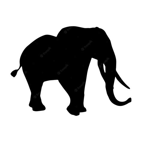 Conjunto De Silueta De Elefante Colección Aislado Negro Sobre Fondo