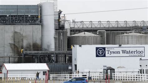 Outbreak At Tyson Plant Infected 1031 Workers Fox 5 New York