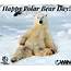 Happy International Polar Bear Day  World Animal News