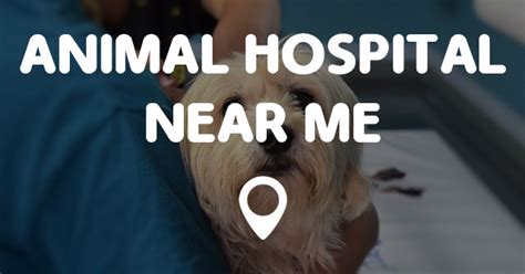 Care animal hospital, is proud to be your pet's health care advocate. ANIMAL HOSPITAL NEAR ME - Points Near Me