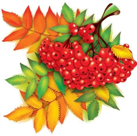 Рисунок дары осени Осенний урожай в картинках